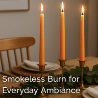 Stonebriar Unscented Taper Candles – 7 Hour Burn Time, Long-Lasting Wax Candles for Weddings, Holidays, Home Décor & Special Events, Pack of 10, Orange, 10"