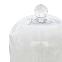 8-Inch Clear Glass Dome Cloche with Rustic Wooden Base
