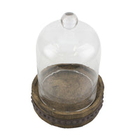 Bell Shape Glass Cloche with Wood Base - Large (12 in.)