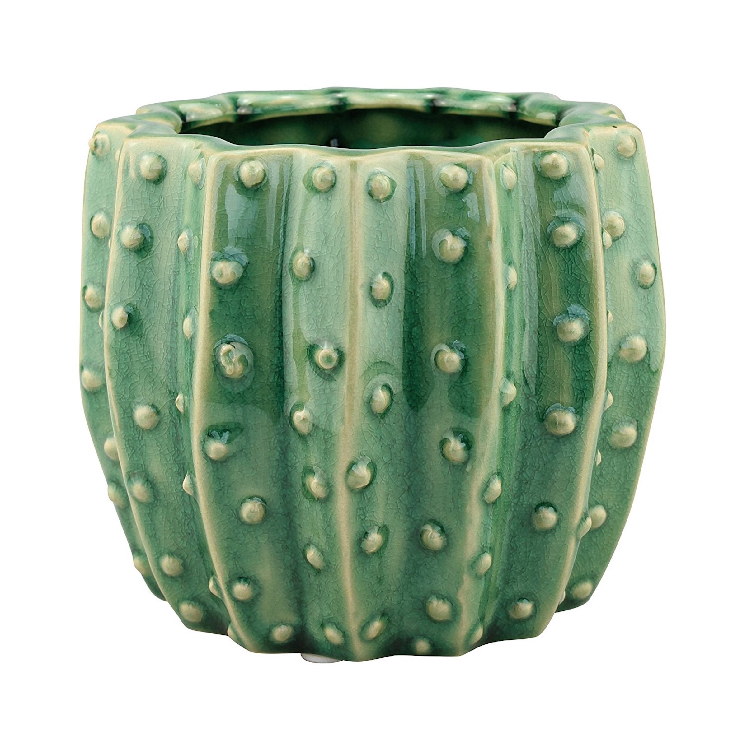 Textured Ceramic Green Cactus Planter | Southwestern Decor | Stonebriar Collection